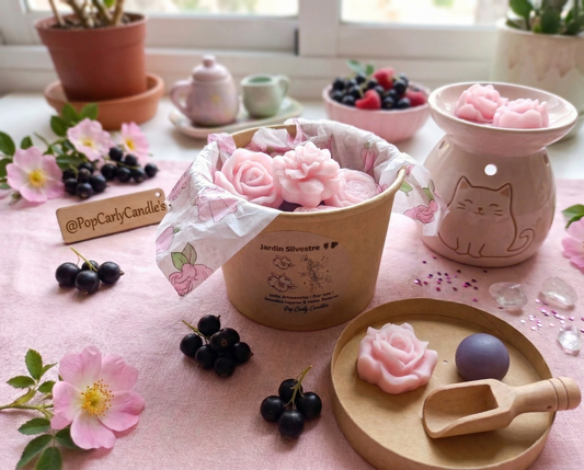 🫐🌹Melts "Jardín Silvestre" - Grosella Negra & Rosa ✨🫐🌹