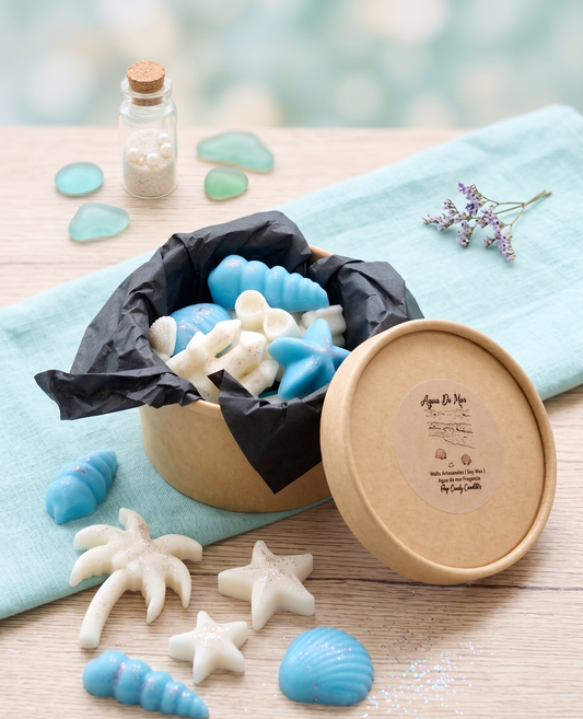 🌊✨Melts "Agua de Mar - El verano en tu quemador 🐚🌴