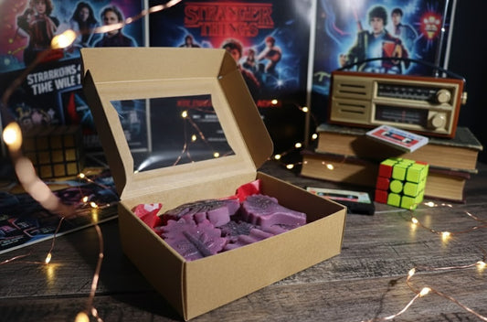 Pastilhas de cera "O Mundo Invertido" 🍁