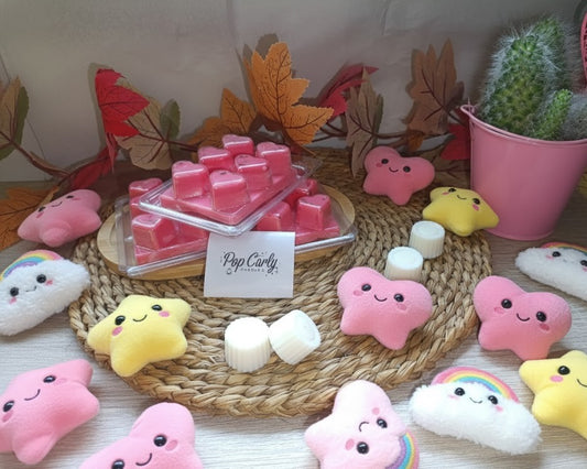 Wax melts - Lollipop tablet 🍬